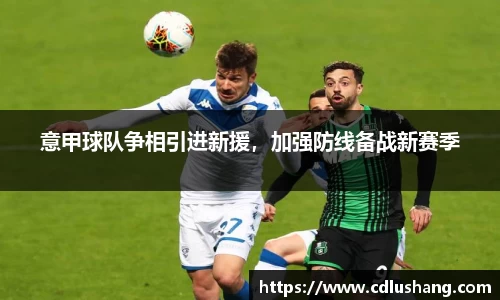 意甲球队争相引进新援，加强防线备战新赛季