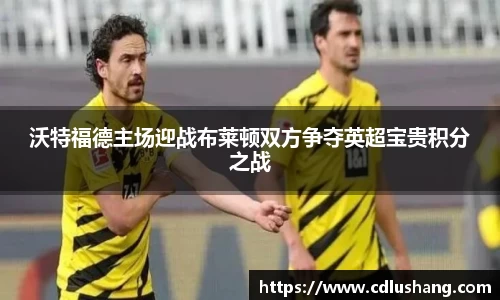 沃特福德主场迎战布莱顿双方争夺英超宝贵积分之战