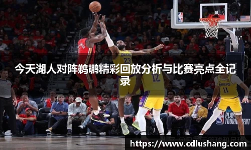 今天湖人对阵鹈鹕精彩回放分析与比赛亮点全记录
