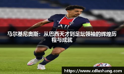 米兰体育官网